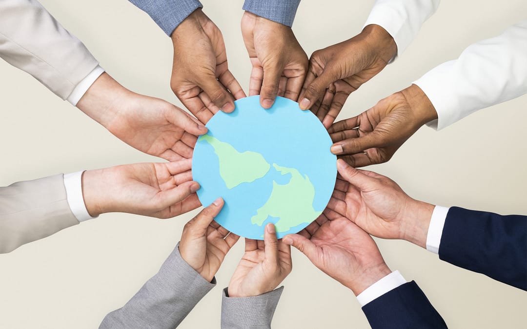 Due diligence of companies in matters of sustainability