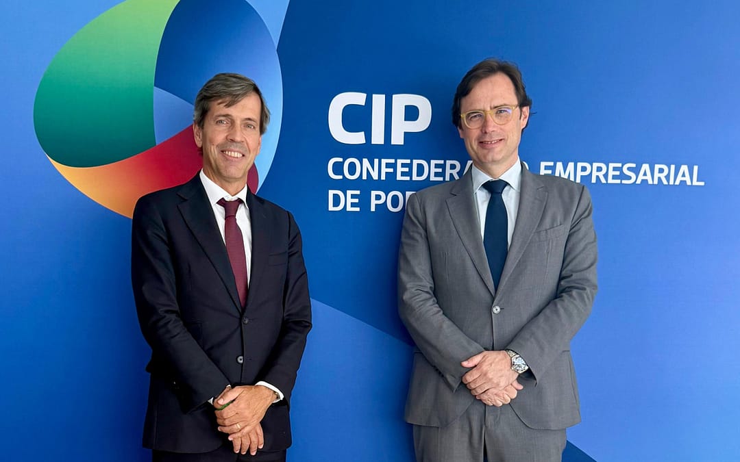 Presidente da ADENE participa em reunião do Conselho da Energia