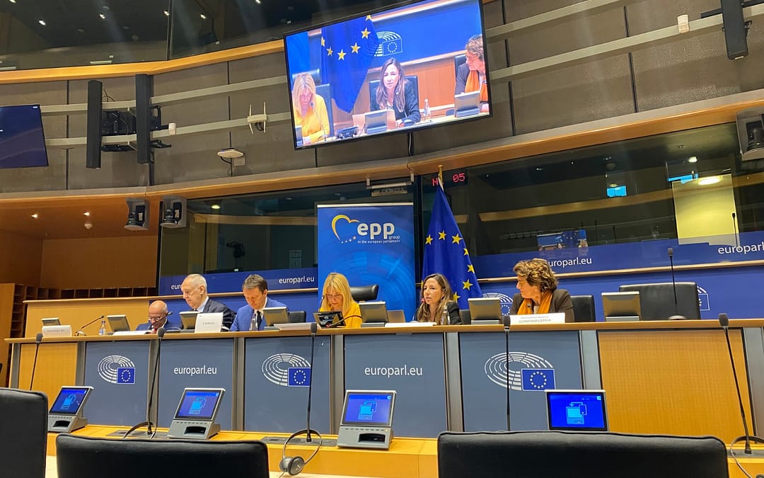 CIP intervém no Parlamento Europeu sobre o futuro da política de coesão