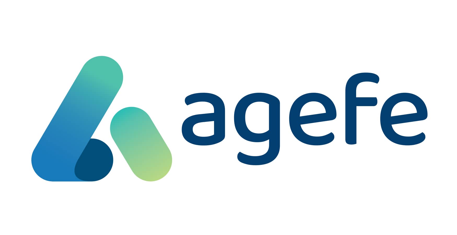 AGEFE Logo final cor