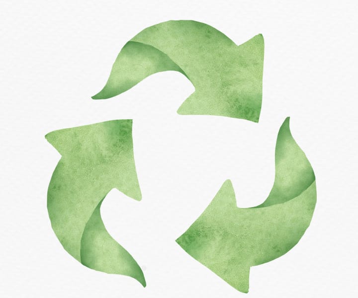 CIP discusses proposed regulation on Sustainable Products