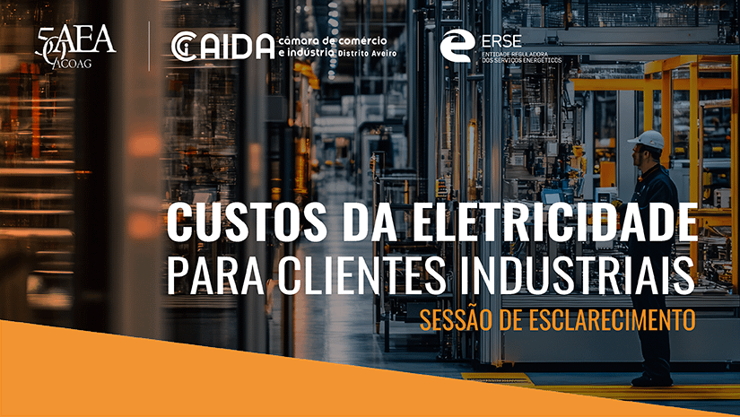 Sessão Esclarecimentos | Custos de Eletricidade para Industria